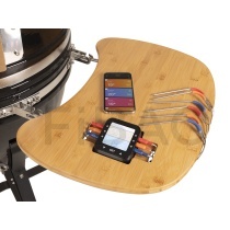 Patton Bluetooth termomeeter 6 otsaga